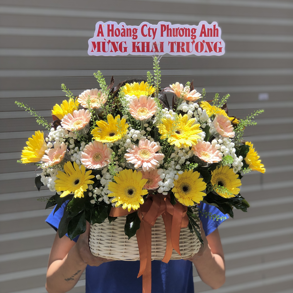 Giỏ hoa cúc đồng tiền - GH021 6 BH18