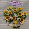 Giỏ hoa hướng dương mini - GH024 2 BH22