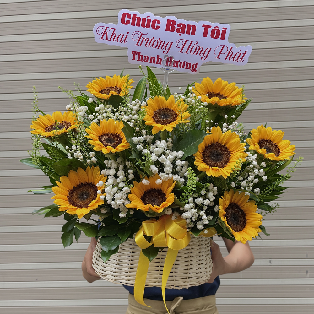 Giỏ hoa hướng dương mini - GH024 8 BH22