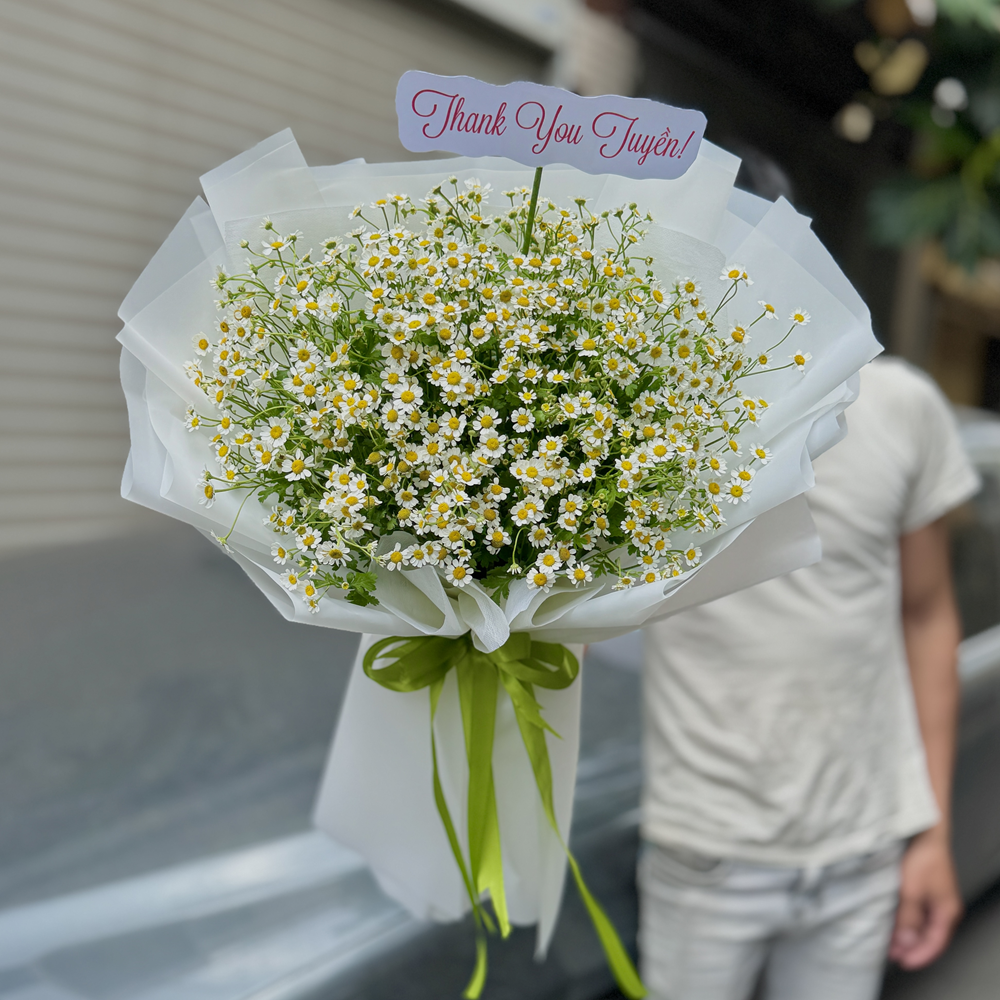 Hoa Cúc Tana - Lời Cảm Ơn - BH059 6 BH59