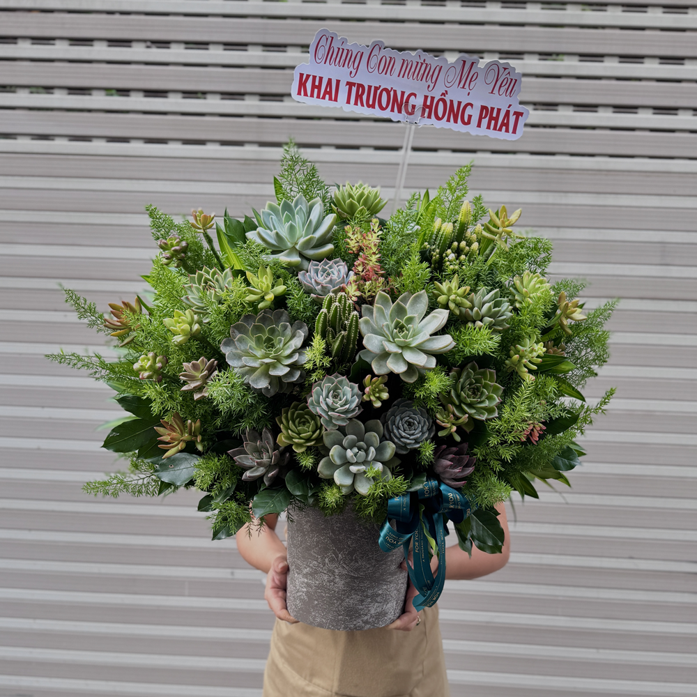 Giỏ Sen Đá Chúc Mừng Khai Trương - SD04 6 SD04