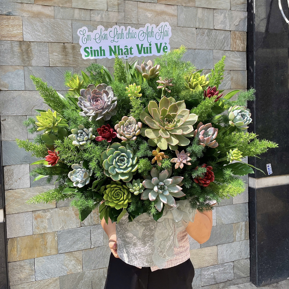 Giỏ Sen Đá - Ma Kết - SD01 6 SD1