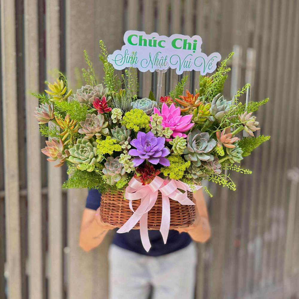 Giỏ Sen Đá - Sức Khỏe Dồi Dào - SD02 6 SD2