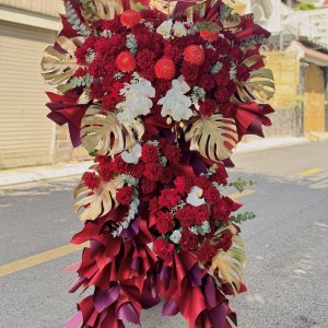 CM019