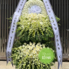 VÒNG HOA VIẾNG TANG LỄ - BANNER KIỂU HÀN QUỐC 3 CB039