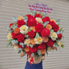 GIỎ HOA TƯƠI - SẮC MÀU CUỘC SỐNG - GH101 3 GH101